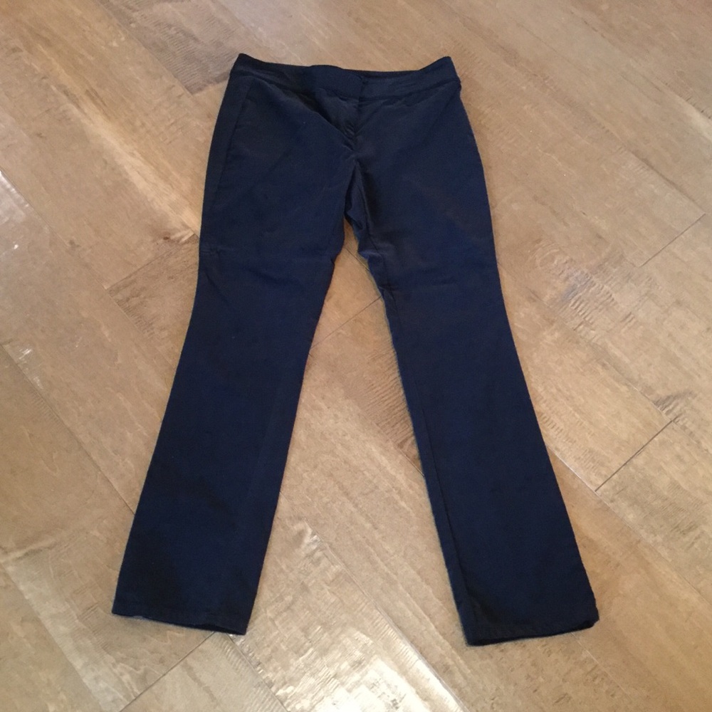 Ann Taylor Pants